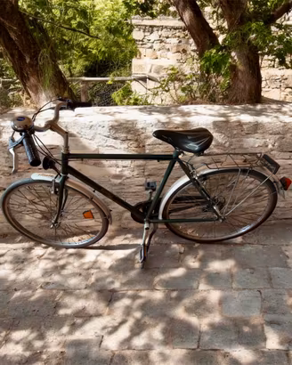 Bici da città da uomo
