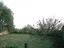Immagine 23