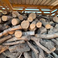 Legna di ulivo – tagliata in pezzi, zona Galtellì