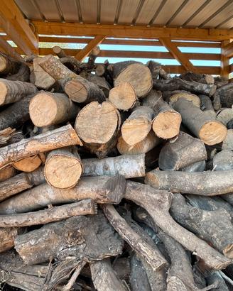 Legna di ulivo – tagliata in pezzi, zona Galtellì