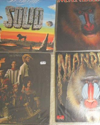 LP MANDRILL