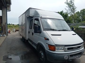 iveco daily per esportazione