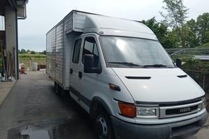 iveco daily per esportazione