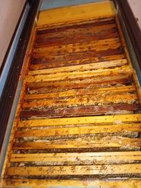 attrezzature per  apicoltura 