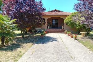 Siena in posizione collinare e panoramica