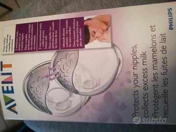 Conchiglie raccoglilatte avent