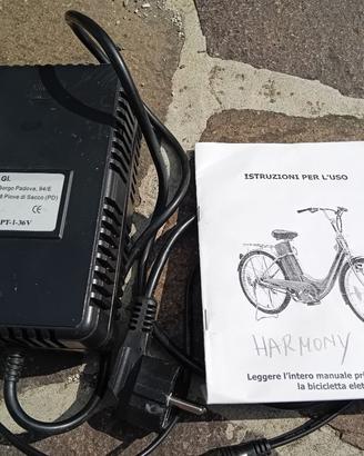 bicicletta a pedalata assistita