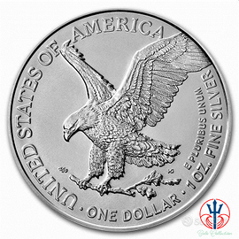 moneta argento USA liberty eagle 1 oz