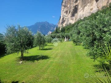 TER. AGRICOLO A ARCO