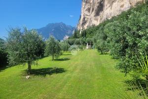 TER. AGRICOLO A ARCO