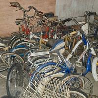 Bicicletta simile Graziella 