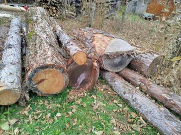 4 tronchi di larice - legna