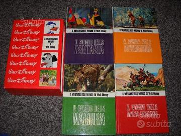 Il meraviglioso mondo walt disney