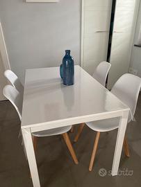 Tavolo + 4 sedie