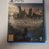 Hogwarts Legacy 