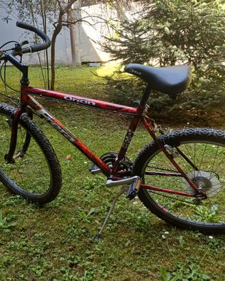Bici MTB Orion Frera