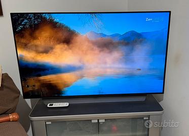 Tv oled lg 48 pollici