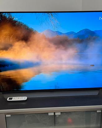 Tv oled lg 48 pollici