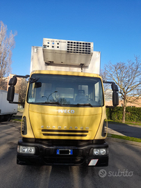 IVECO EUROCARGO FRIGO