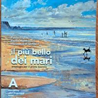 ISBN 9788839526274 - Il più bello dei mari