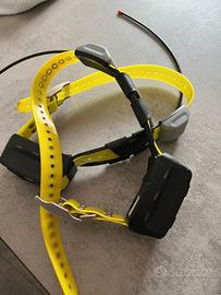 palmare +due  collari +completi di caricabatterie 