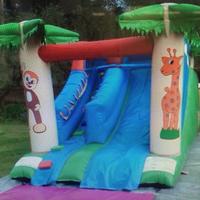 Gonfiabile scivolo gioco