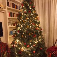 grande albero di natale 