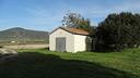 terreno-agricolo-grosseto-cod-rif-3102120vcg-