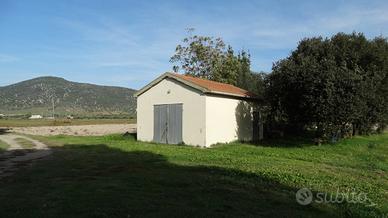 Terreno Agricolo Grosseto [Cod. rif 3102120VCG]