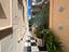 Immagine 7