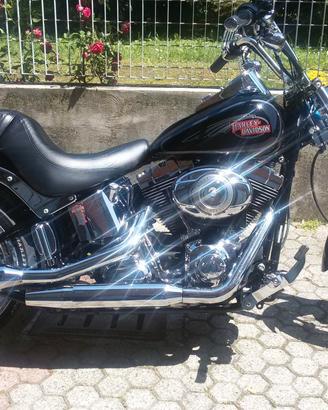 Harley Davidson FXSTC 2007