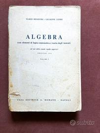 Algebra vol. I - Besostri e Lepre - 1976