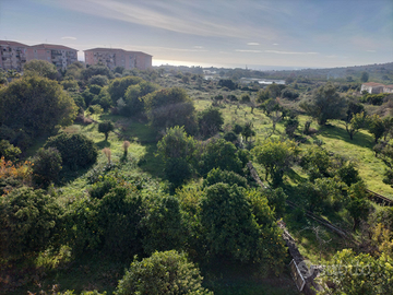 Terreno Agrumeto Aci Platani