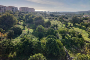 Terreno Agrumeto Aci Platani