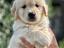 Immagine 18