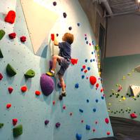 Arrampicate per Bambini x Centri Sportivi e Scuole