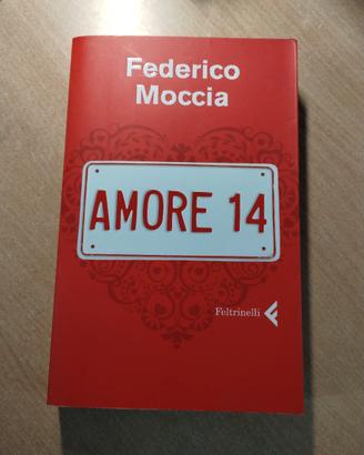 amore 14