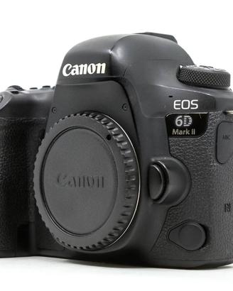 Canon 6d mark2 + ef 24-105 f4 + ef 24-70 f2.8