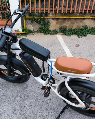 Fat bike engwe M20 