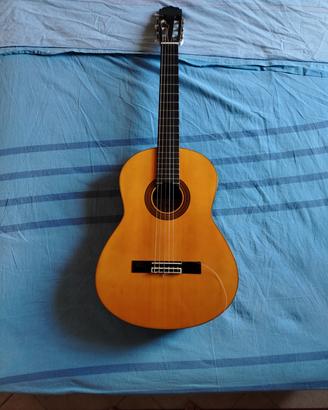 Chitarra AK-200 