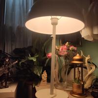 lampada vintage Ikea brasa 