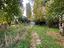 Immagine 29