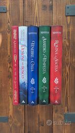 Lotto _ Grishaverse saga