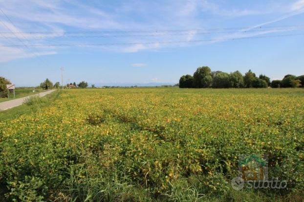 Terreno agricolo confinante con la strada