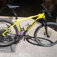 Bergamont Revox sport (gruppo Scott) - L