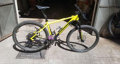 Bergamont Revox sport (gruppo Scott) - L