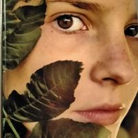 la solitudine dei numeri primi 