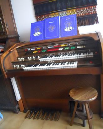 Organo ELKA Artist 606