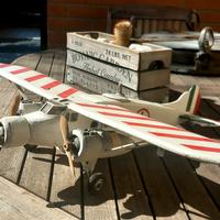 Modello d'epoca aereo Caproni Ca. 133