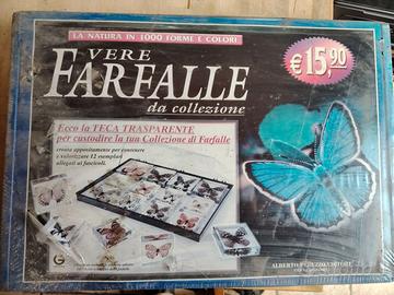 Teca per farfalle